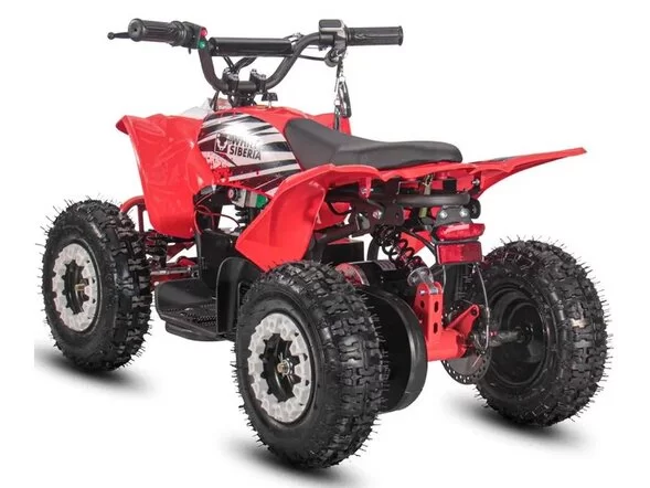 Детский электроквадроцикл WHITE SIBERIA SNEG LETO R 1000W